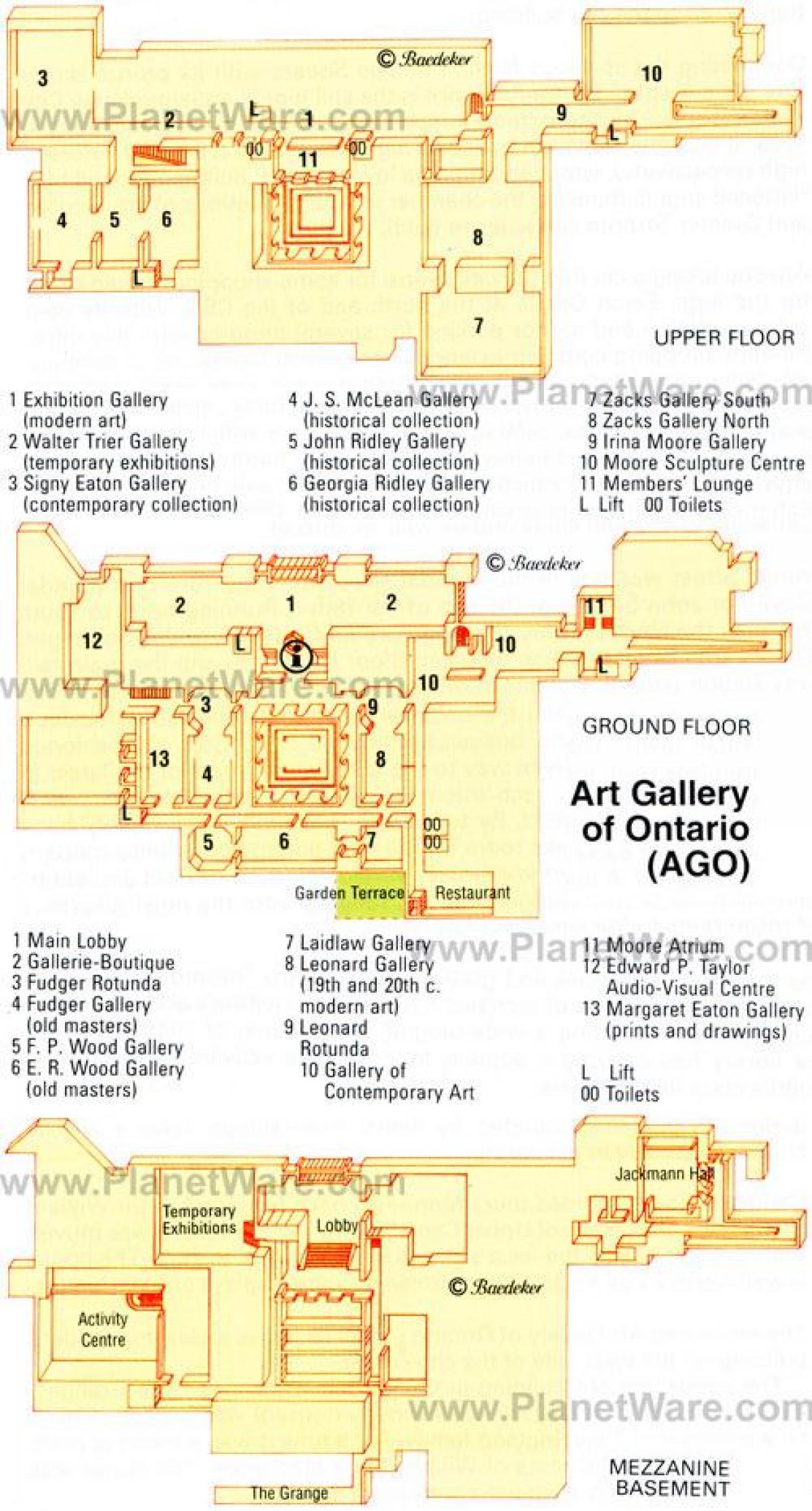 نقشه از گالری هنر انتاریو