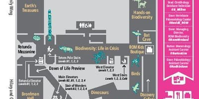 نقشه Royal Ontario Museum سطح 2