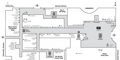 نقشه بیمارستان برای کودکان بیمار در تورنتو اصلی طبقه