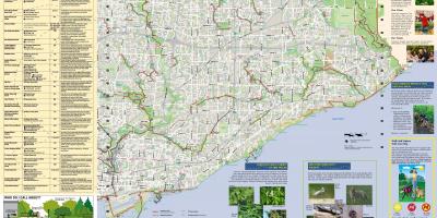 نقشه از پارک ها و پیاده روی مسیرهای پیاده روی در شرق تورنتو
